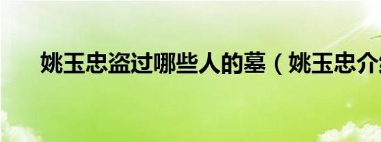姚玉忠盗过哪些人的墓（姚玉忠介绍）