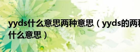 yyds什么意思两种意思（yyds的两种意思是什么意思）