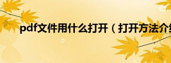pdf文件用什么打开（打开方法介绍）