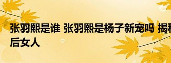 张羽熙是谁 张羽熙是杨子新宠吗 揭秘杨子背后女人