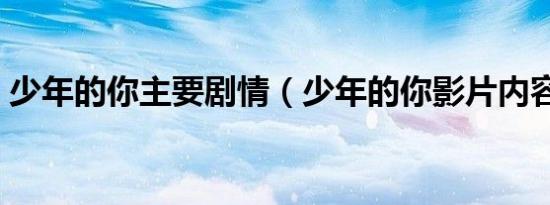 少年的你主要剧情（少年的你影片内容介绍）