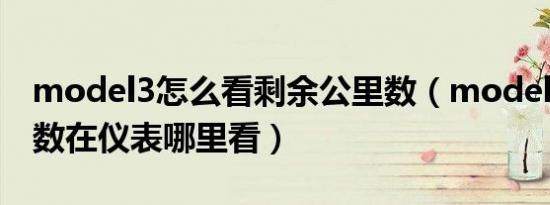 model3怎么看剩余公里数（model3总公里数在仪表哪里看）