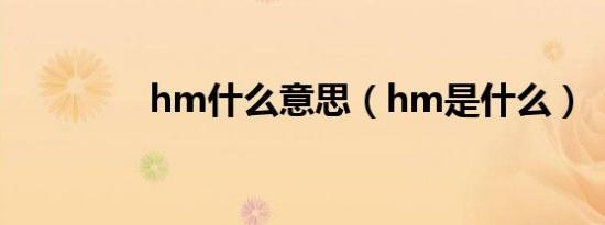 hm什么意思（hm是什么）