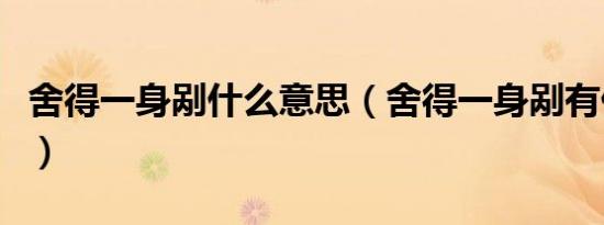 舍得一身剐什么意思（舍得一身剐有什么意思）