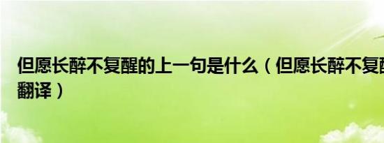 但愿长醉不复醒的上一句是什么（但愿长醉不复醒的原文及翻译）