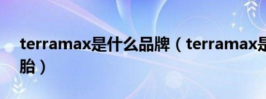 terramax是什么品牌（terramax是什么轮胎）
