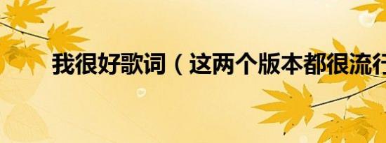 我很好歌词（这两个版本都很流行）
