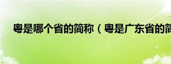 粤是哪个省的简称（粤是广东省的简称）