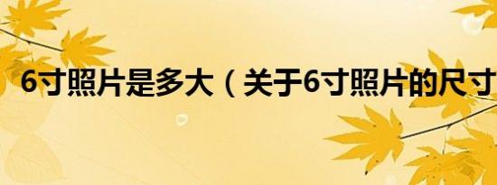 6寸照片是多大（关于6寸照片的尺寸介绍）