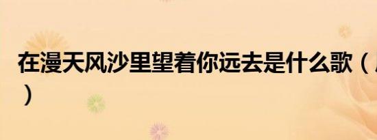 在漫天风沙里望着你远去是什么歌（原唱是谁）