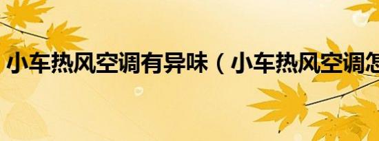 小车热风空调有异味（小车热风空调怎么开）