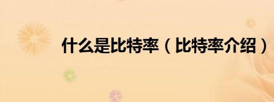 什么是比特率（比特率介绍）