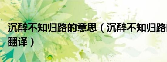 沉醉不知归路的意思（沉醉不知归路的原文及翻译）