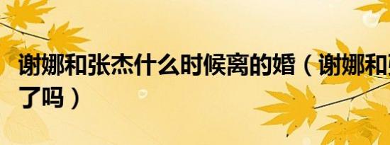谢娜和张杰什么时候离的婚（谢娜和张杰离婚了吗）