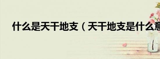什么是天干地支（天干地支是什么意思）