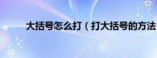 大括号怎么打（打大括号的方法）