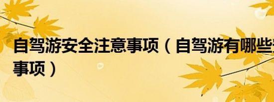 自驾游安全注意事项（自驾游有哪些安全注意事项）