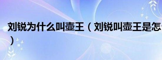 刘锐为什么叫壶王（刘锐叫壶王是怎么来的呢）