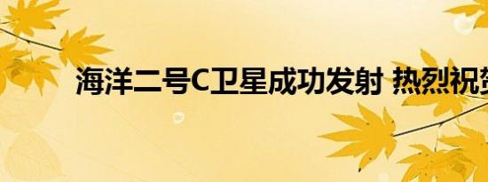 海洋二号C卫星成功发射 热烈祝贺