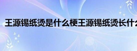 王源锡纸烫是什么梗王源锡纸烫长什么样子