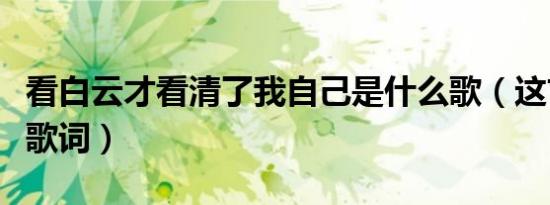 看白云才看清了我自己是什么歌（这首歌完整歌词）