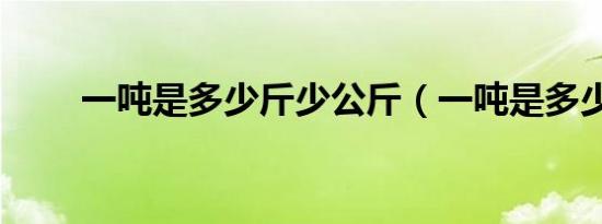 一吨是多少斤少公斤（一吨是多少）