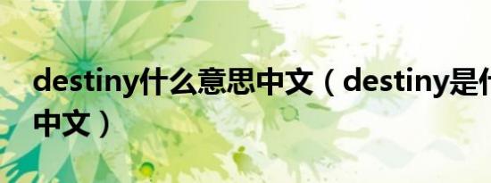 destiny什么意思中文（destiny是什么意思中文）