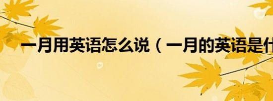一月用英语怎么说（一月的英语是什么）