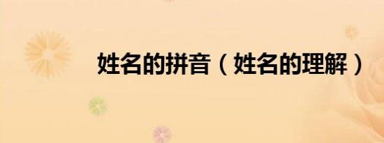 姓名的拼音（姓名的理解）