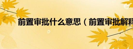 前置审批什么意思（前置审批解释）