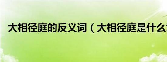 大相径庭的反义词（大相径庭是什么意思）
