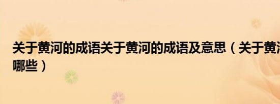 关于黄河的成语关于黄河的成语及意思（关于黄河的成语有哪些）