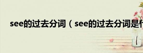 see的过去分词（see的过去分词是什么）