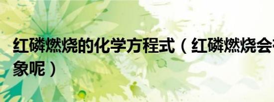 红磷燃烧的化学方程式（红磷燃烧会有什么现象呢）