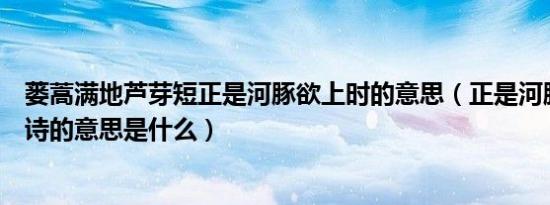 蒌蒿满地芦芽短正是河豚欲上时的意思（正是河豚欲上时古诗的意思是什么）