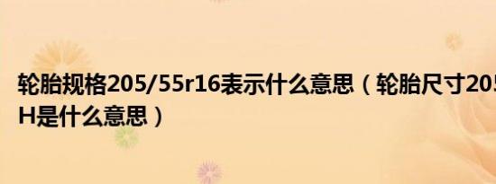 轮胎规格205/55r16表示什么意思（轮胎尺寸205/55r1691H是什么意思）