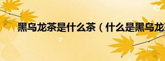 黑乌龙茶是什么茶（什么是黑乌龙茶）