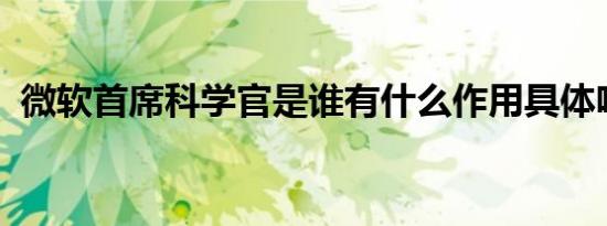 微软首席科学官是谁有什么作用具体啥情况