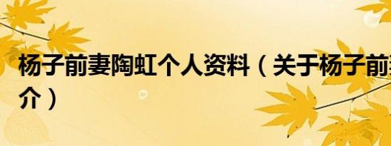 杨子前妻陶虹个人资料（关于杨子前妻陶虹简介）