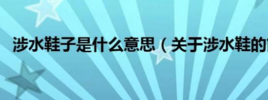 涉水鞋子是什么意思（关于涉水鞋的简介）