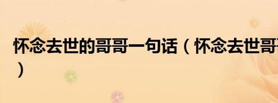 怀念去世的哥哥一句话（怀念去世哥哥的句子）