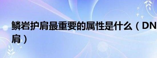 鳞岩护肩最重要的属性是什么（DNF鳞岩护肩）