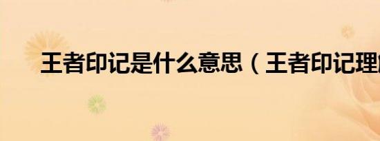 王者印记是什么意思（王者印记理解）