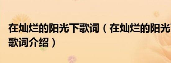 在灿烂的阳光下歌词（在灿烂的阳光下歌曲的歌词介绍）
