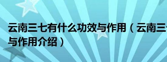 云南三七有什么功效与作用（云南三七的功效与作用介绍）