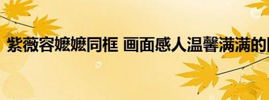紫薇容嬷嬷同框 画面感人温馨满满的回忆杀