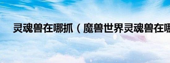 灵魂兽在哪抓（魔兽世界灵魂兽在哪抓）
