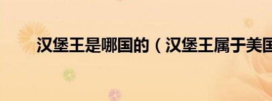 汉堡王是哪国的（汉堡王属于美国）