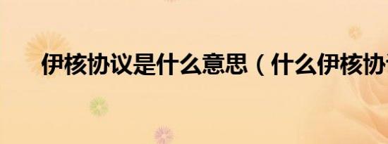 伊核协议是什么意思（什么伊核协议）