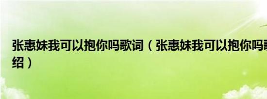 张惠妹我可以抱你吗歌词（张惠妹我可以抱你吗歌词简单介绍）